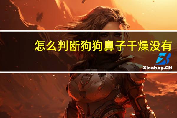 怎么判断狗狗鼻子干燥没有