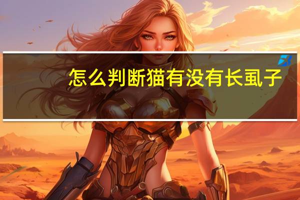 怎么判断猫有没有长虱子
