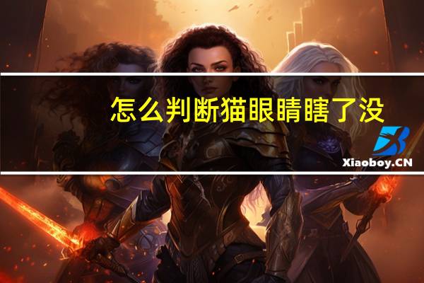 怎么判断猫眼睛瞎了没