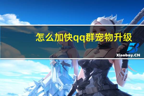 怎么加快qq群宠物升级