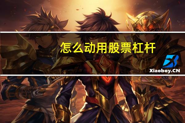 怎么动用股票杠杆