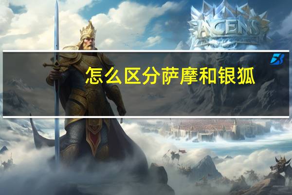 怎么区分萨摩和银狐