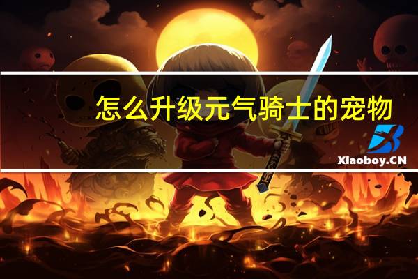 怎么升级元气骑士的宠物