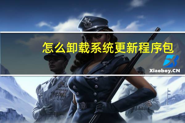 怎么卸载系统更新程序包