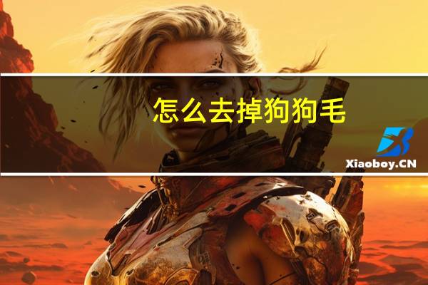 怎么去掉狗狗毛