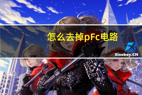 怎么去掉pFc电路