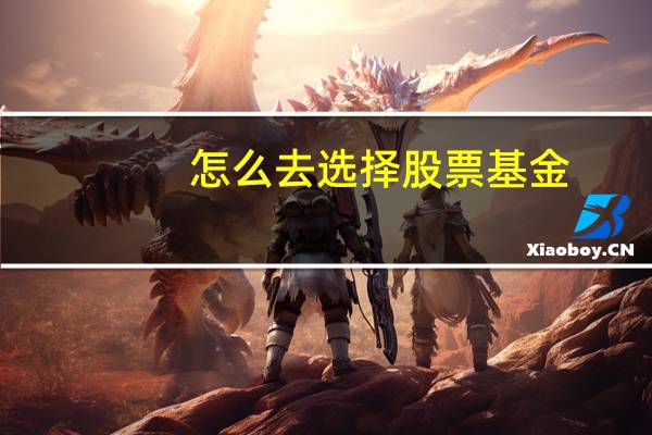 怎么去选择股票基金