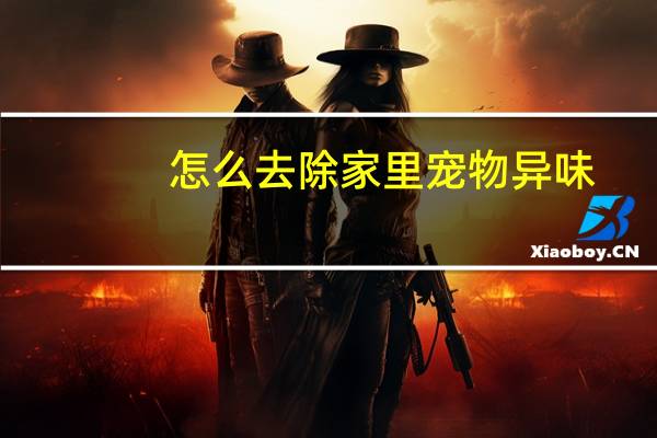 怎么去除家里宠物异味