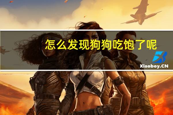怎么发现狗狗吃饱了呢