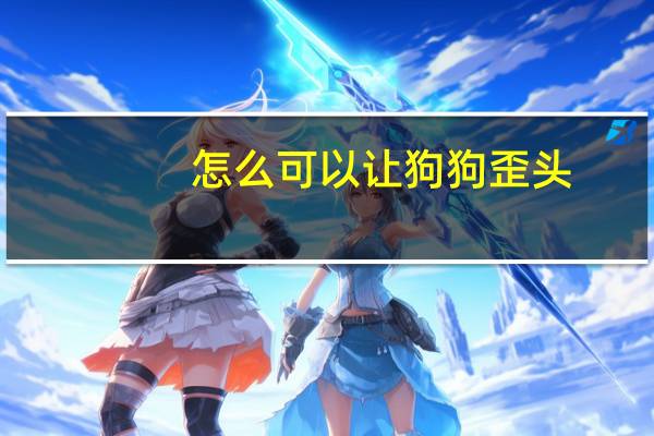 怎么可以让狗狗歪头