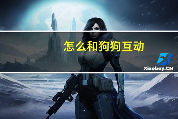 怎么和狗狗互动