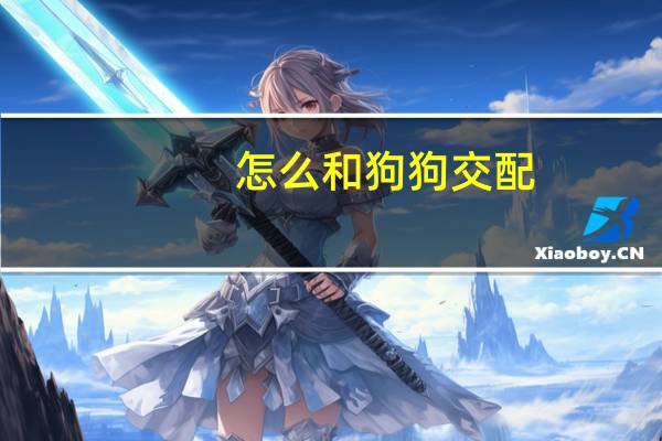 怎么和狗狗交配