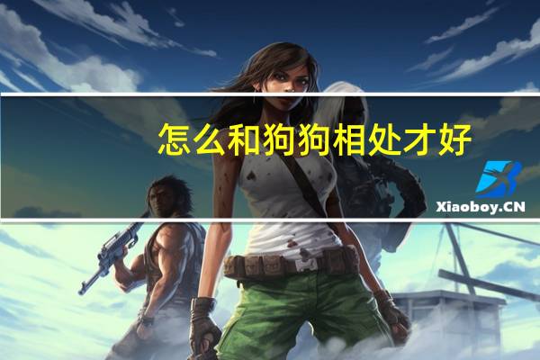 怎么和狗狗相处才好