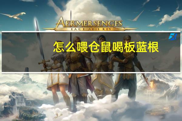 怎么喂仓鼠喝板蓝根