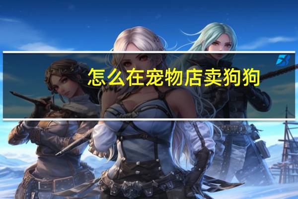 怎么在宠物店卖狗狗