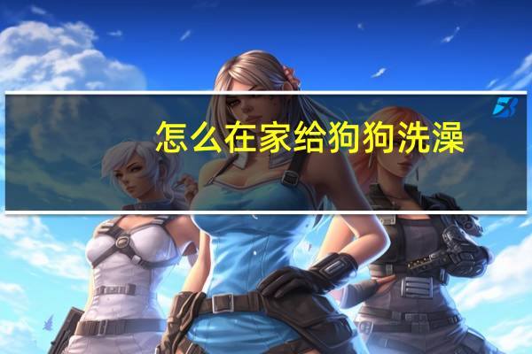 怎么在家给狗狗洗澡