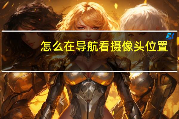 怎么在导航看摄像头位置