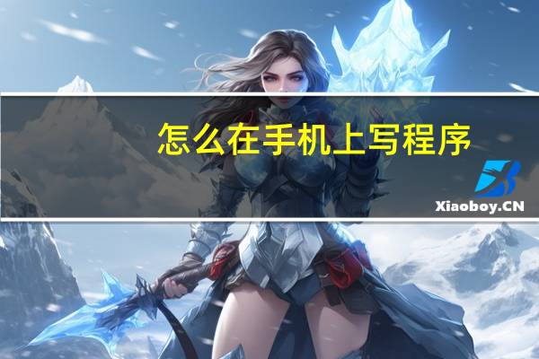 怎么在手机上写程序