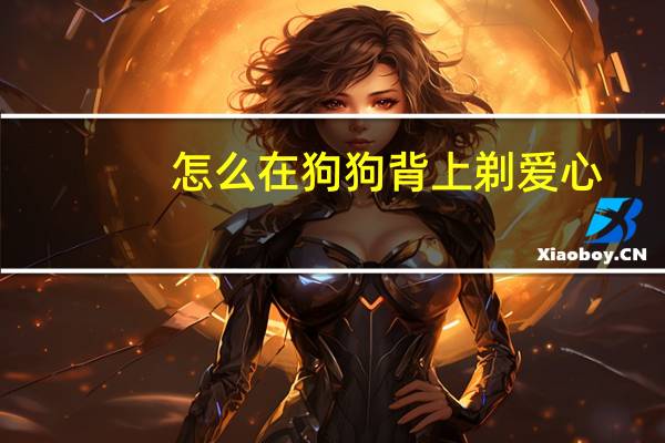 怎么在狗狗背上剃爱心