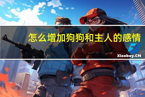 怎么增加狗狗和主人的感情