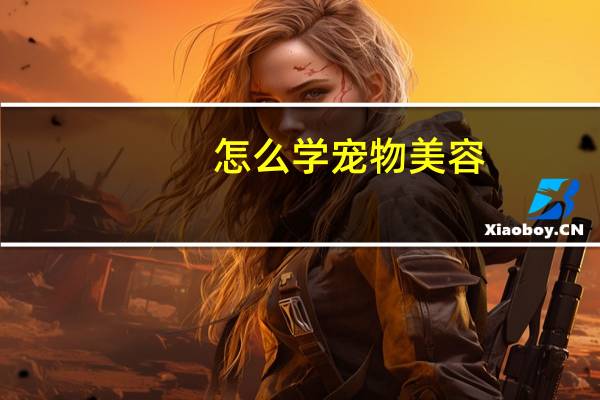 怎么学宠物美容