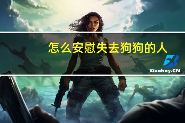 怎么安慰失去狗狗的人