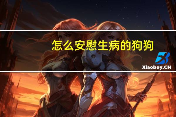 怎么安慰生病的狗狗
