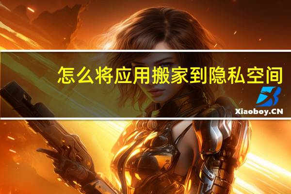 怎么将应用搬家到隐私空间