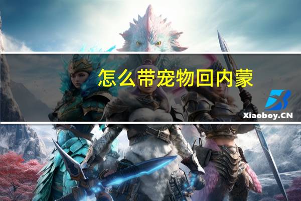 怎么带宠物回内蒙