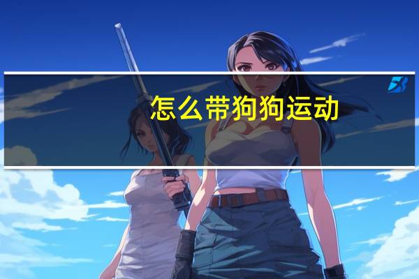 怎么带狗狗运动