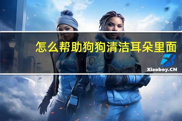 怎么帮助狗狗清洁耳朵里面