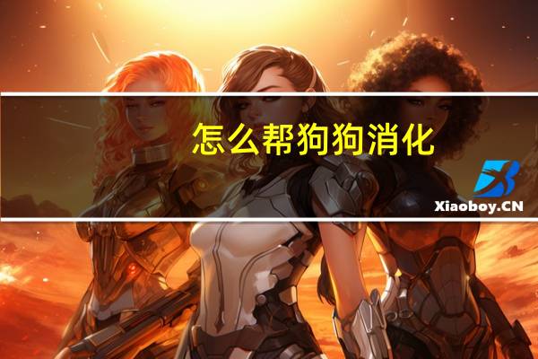 怎么帮狗狗消化