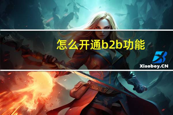 怎么开通b2b功能