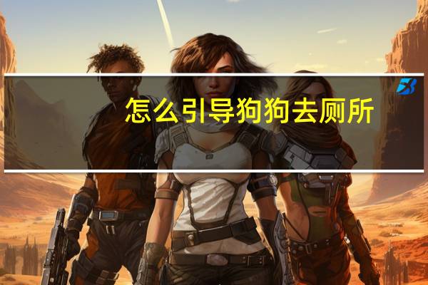 怎么引导狗狗去厕所