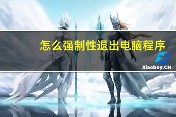 怎么强制性退出电脑程序