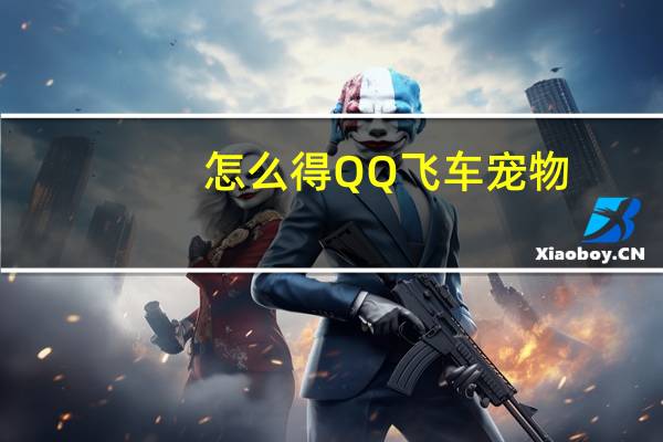 怎么得QQ飞车宠物