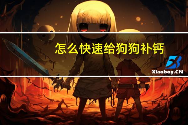 怎么快速给狗狗补钙