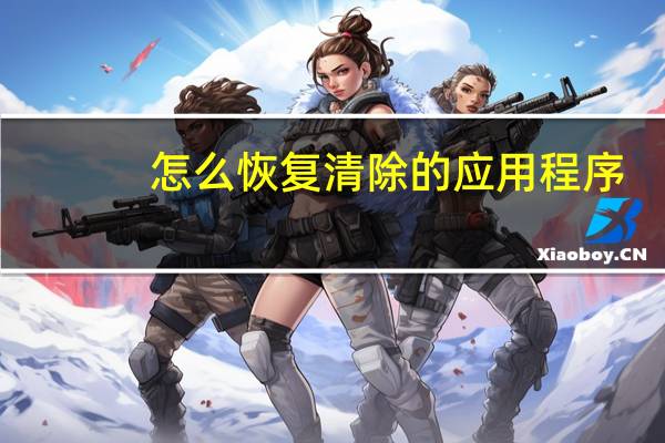 怎么恢复清除的应用程序
