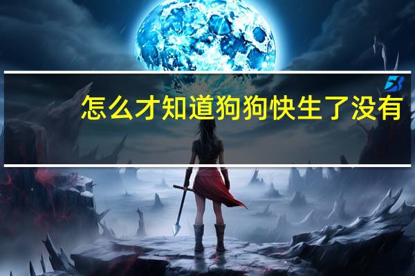 怎么才知道狗狗快生了没有