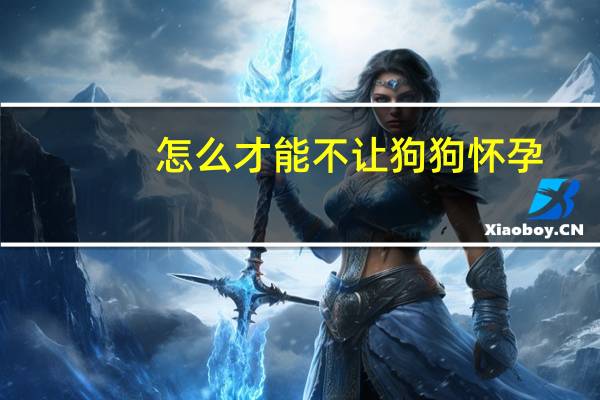 怎么才能不让狗狗怀孕