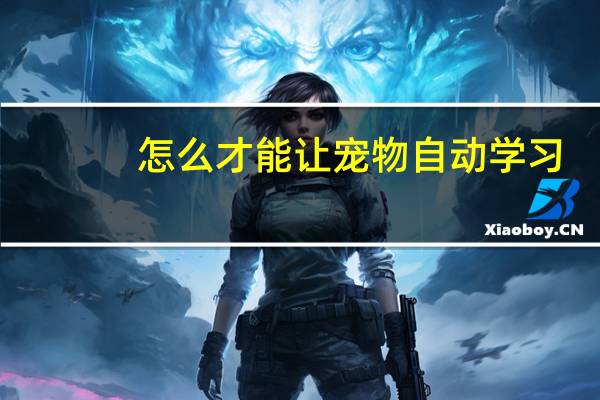 怎么才能让宠物自动学习