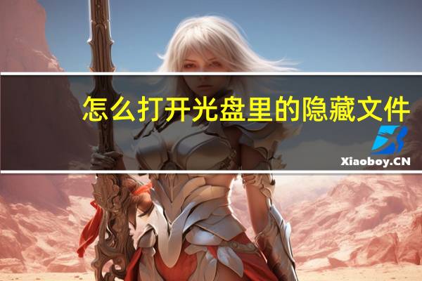 怎么打开光盘里的隐藏文件