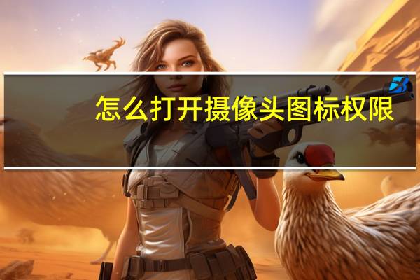 怎么打开摄像头图标权限