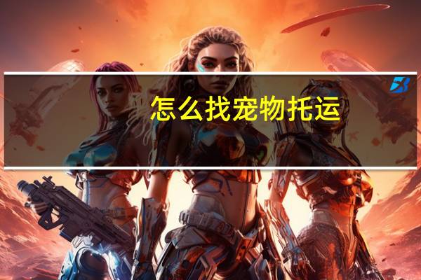 怎么找宠物托运