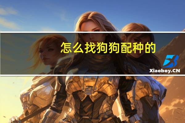 怎么找狗狗配种的