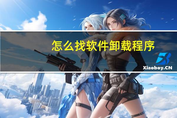 怎么找软件卸载程序