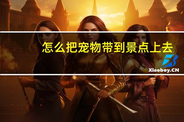 怎么把宠物带到景点上去