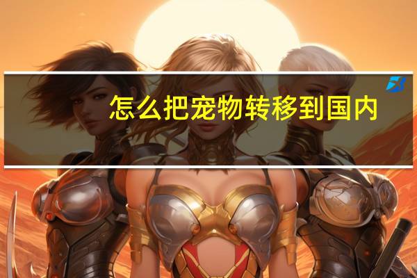 怎么把宠物转移到国内