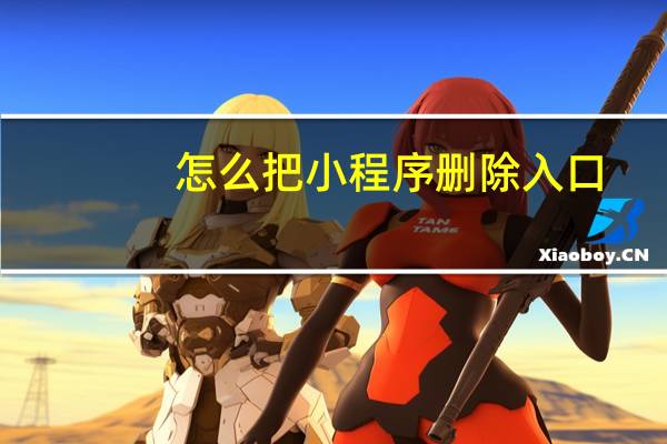 怎么把小程序删除入口