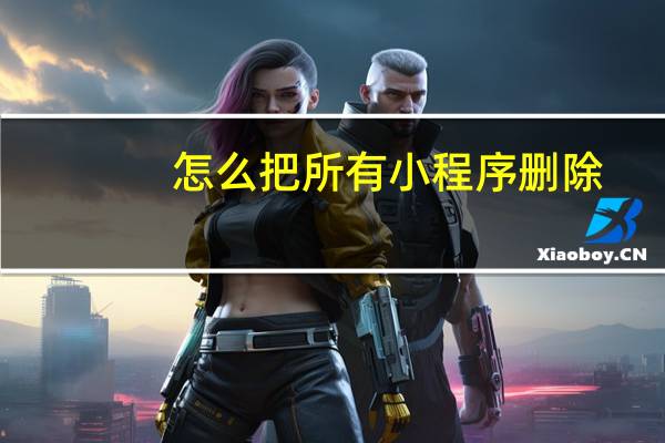 怎么把所有小程序删除